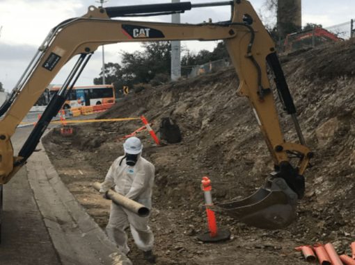 Hoddle Street Upgrade